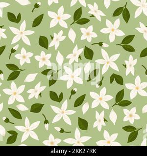 Motif de répétition sans couture avec fleur de jasmin et feuilles sur fond vert idéal pour le papier peint et l'emballage en tissu Banque D'Images