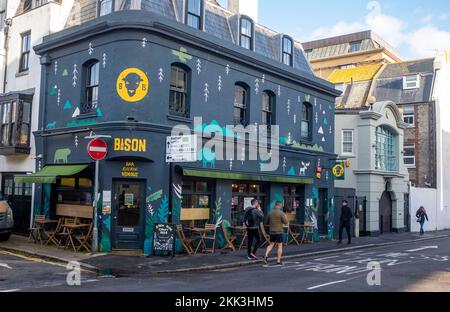 The Bison Bar à North Road Brighton , Sussex , Angleterre Royaume-Uni Banque D'Images