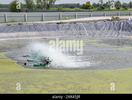 La turbine à eau remplit l'air dans l'eau pour le traitement dans l'étang. système de traitement de l'eau. Banque D'Images