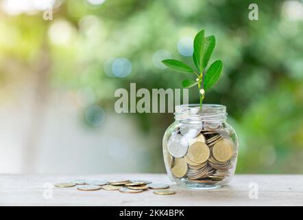 Les pièces de monnaie s'empilent avec l'arbre poussant sur le dessus et les pièces de monnaie en pot de verre sur la table, le fond de la nature, l'argent, l'épargne et le concept d'investissement, au-dessus de soleil éclat silhouett Banque D'Images