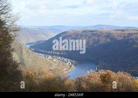 Vallée de la Moselle près de Klotten en novembre Banque D'Images