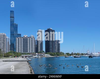 Parc riverain de Chicago avec immeubles à appartements en hauteur en arrière-plan, et un troupeau de bernaches du Canada nageant sur le lac Banque D'Images