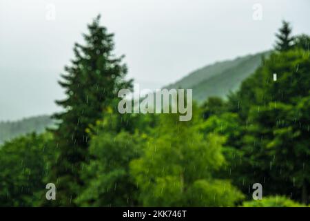 la pluie dans la nature se concentre sur les gouttes Banque D'Images