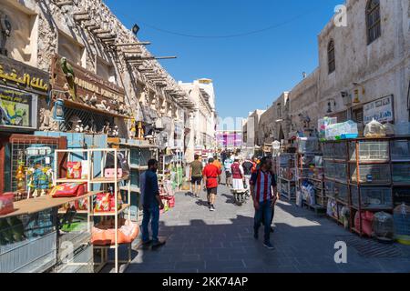 Fan international de football à Souq Waqif Doha lors de la coupe du monde de la FIFA 2022 Qatar. Banque D'Images