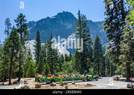 Yosemite, Etats-Unis - 22 juillet 2008 : les touristes découvrent la vallée romantique du parc de yosemite dans un train touristique Banque D'Images