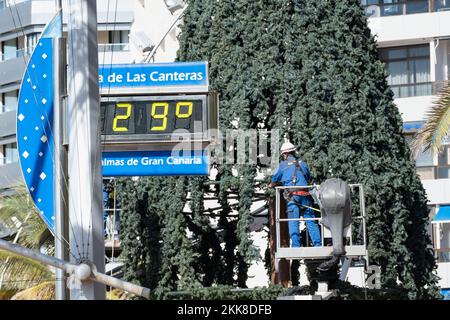 Las Palmas, Grande Canarie, Îles Canaries, Espagne. 25th novembre 2022. Touristes, beaucoup du Royaume-Uni, sur la plage de la ville à Las Palmas sur Gran Canaria. PHOTO: 29 degrés Celcius comme la ville plage arbre de Noël est errected. Crédit : Alan Dawson/Alay Live News Banque D'Images