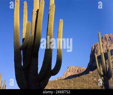 Côté ouest des montagnes Dragoon dans le sud de l'Arizona Banque D'Images