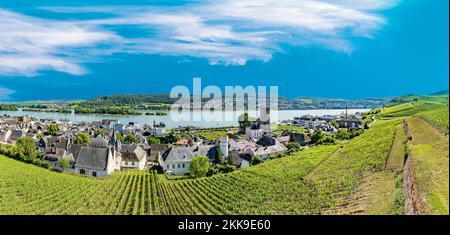 Ruedesheim, Allemagne - 21 juin 2020 : vue aérienne sur les vignobles pittoresques de Ruedesheim, Allemagne. Banque D'Images