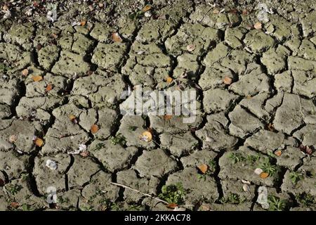 Lit de ruisseau sec avec fissures et fissures dans la boue en raison du changement climatique Banque D'Images