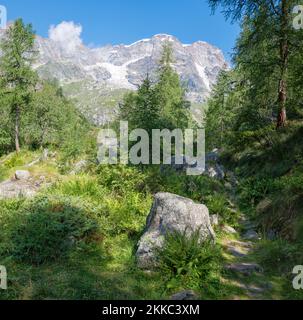 Le panorama des sommets de Punta Gnifetti ou Signalkuppe, Parrotspitze, Ludwigshohe - vallée de la Valsie. Banque D'Images