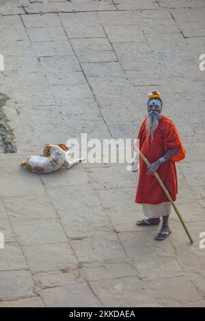 Delhi, Inde - DEC 11, 2011: Ancien prêtre peint dans le visage de manière traditionnelle avec bâton de bambou et chien endormi. La robe rouge symbolise son rel Banque D'Images