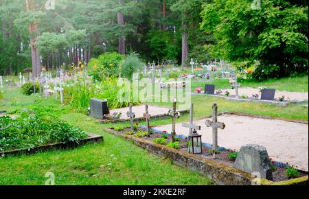 Vieux cimetière dans la forêt avec de nombreuses croix. Estonie Banque D'Images