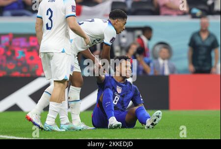 Doha, Qatar. 25th novembre 2022. Credit: dpa Picture Alliance/Alay Live News Banque D'Images
