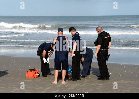 Floride, États-Unis. 25th novembre 2022. Melbourne Beach, comté de Brevard, Floride, États-Unis. 25 novembre 2022. Les unités de Brevard County Ocean Rescue, Brevard County Fire Rescue, Melbourne Beach Fire/Marine Rescue et Melbourne Beach police Department ont aidé à retirer une personne de la plage après un incident de quasi-noyade après avoir été attrapée dans un courant de rip. Credit: Julian Leek/Alay Live News Credit: Julian Leek/Alay Live News Banque D'Images
