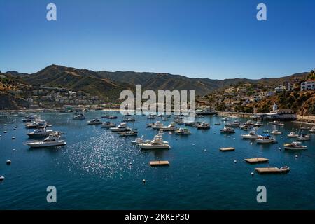 Californie, Catalina Island, Avalon Harbour Banque D'Images