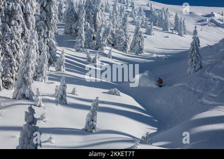 Freerider sur un snowboard avec une caméra embarquée descend dans un couloir de montagne enneigé au milieu d'un épicéa couvert de neige, une descente d'adrénaline en plein air Banque D'Images