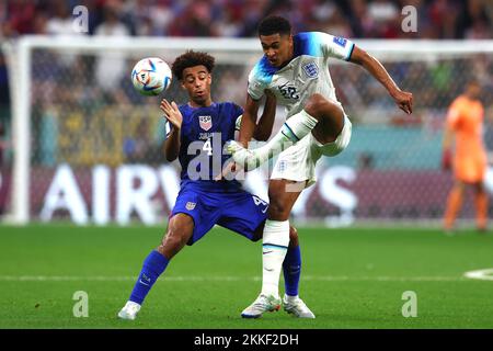 Doha, Qatar. 25th novembre 2022. Jude Bellingham (R) d'Angleterre en action avec Tyler Adams des États-Unis lors du match de la coupe du monde de la FIFA du groupe B 2022 au stade Al Bayt à Doha, au Qatar, sur 25 novembre 2022. Photo de Chris Brunskill/UPI crédit: UPI/Alay Live News Banque D'Images