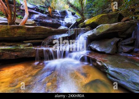 Somersby Falls cascade de forêt tropicale pittoresque cascade sur la côte centrale près de Gosford en Australie. Banque D'Images