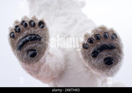 Modèle d'ours polaire blanc Banque D'Images