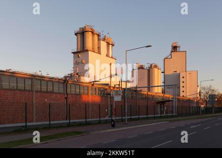 Cargill Deutschland GmbH, usine de production de produits d'amidon pour l'industrie alimentaire, Krefelder Rheinhafen, Krefeld-Uerdingen, Rhénanie-du-Nord-Westphalie, Banque D'Images