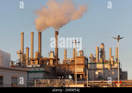 Cargill Deutschland GmbH, usine de production de produits d'amidon pour l'industrie alimentaire, Krefelder Rheinhafen, Krefeld-Uerdingen, Rhénanie-du-Nord-Westphalie, Banque D'Images