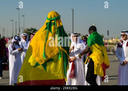 Doha, Qatar. 25th novembre 2022. Un fan du Sénégal vu avant le match Qatar—Sénégal au stade Al Thumama, le 6th jour de la coupe du monde de la FIFA Qatar 2022, près de Doha, Qatar sur 25 novembre 2022. Photo par Ammar Abd Rabbo/ABACAPRESS.COM crédit: Abaca Press/Alay Live News Banque D'Images
