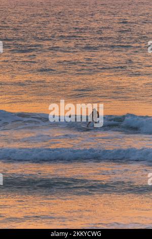 israël, Herzliya - 05 octobre 2022: Surfeur en attente de la vague Banque D'Images