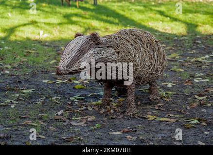 Badger, une sculpture tissée sur la faune et la flore du saule dans un grand jardin Banque D'Images