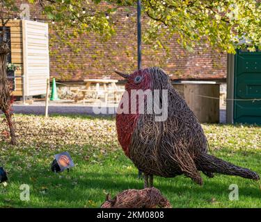 Robin Redbreast, une sculpture tissée sur la faune et la flore du saule dans un grand jardin Banque D'Images