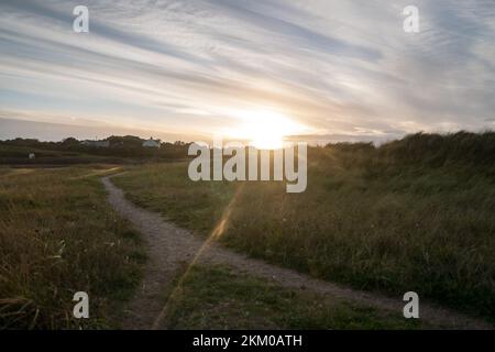 Coucher de soleil vue sur l'herbe de plage. Scène extérieure de la côte dans la nature de l'Irlande à Laytown, Co Meath Banque D'Images