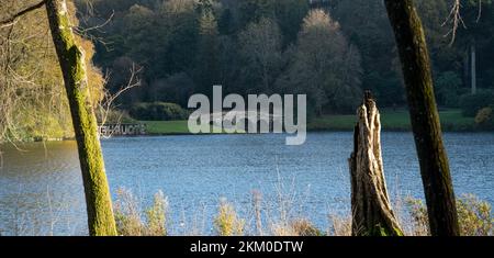 Les cinq arches de catégorie I ont énuméré le pont de pierre palladien vu à travers le lac à Stourhead, Wilts UK Banque D'Images