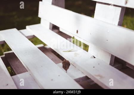 Mobilier de jardin blanc en palette au soleil d'automne, feuilles et une petite abeille sur le banc Banque D'Images