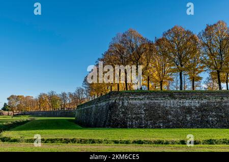 Les arbres sur les anciens murs périmétriques de Lucques, en Italie, avec les couleurs automnales colorées, un jour ensoleillé Banque D'Images