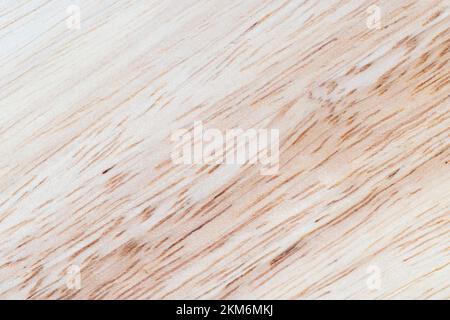une planche en bois d'hévéa, une planche légère avec une structure d'arbre d'hévéa, à partir de laquelle une planche de plusieurs planches est faite Banque D'Images