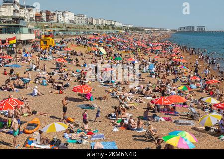 L'Angleterre, l'East Sussex, Brighton, Brighton Beach Banque D'Images