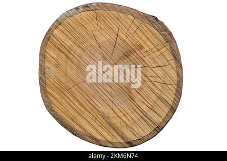 Anneaux annuels sur une coupe de scie d'un tronc d'arbre. marques de scie. log isolé sur fond blanc Banque D'Images