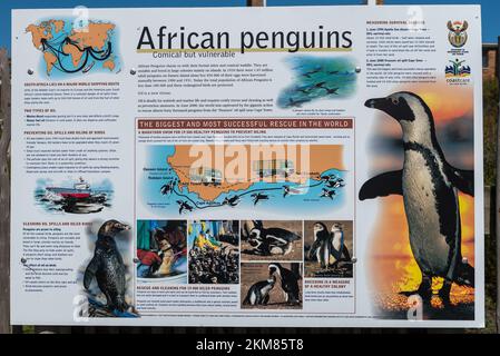 Bettys Bay, Afrique du Sud - 20 septembre 2022: Panneau d'information pour les Pesquins africains à la réserve naturelle de Stony point dans la baie de Bettys. Banque D'Images