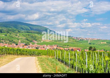 Gueberschwihr (Geberschweier, Gawerschwihr): Vue sur le village Gueberschwihr (Geberschweier, Gawerschwihr), vignobles, montagnes des Vosges en Alsace (Els Banque D'Images