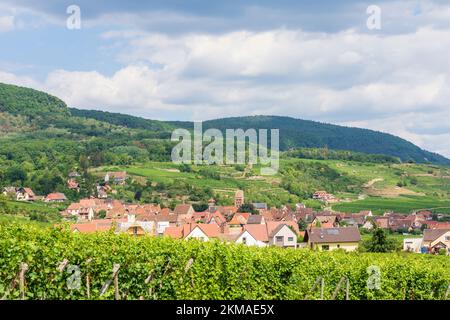 Gueberschwihr (Geberschweier, Gawerschwihr): Vue sur le village Gueberschwihr (Geberschweier, Gawerschwihr), vignobles, montagnes des Vosges en Alsace (Els Banque D'Images