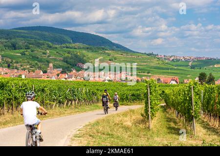 Gueberschwihr (Geberschweier, Gawerschwihr): Vue sur le village Gueberschwihr (Geberschweier, Gawerschwihr), vignobles, montagnes des Vosges, cyclistes en A Banque D'Images
