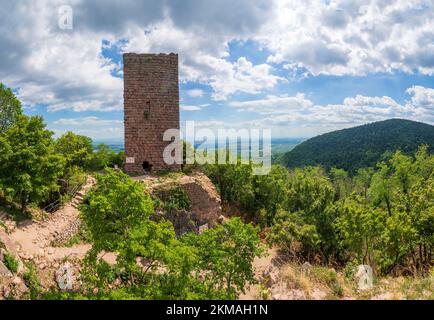 Husseren-les-Châteaux (Häusern) : trois châteaux de Husseren-les-Châteaux (Drei Exen ou Hoh-Egisheim, Haut-Eguisheim ou les trois châteaux d'Eguisheim, Banque D'Images