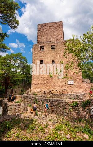 Husseren-les-Châteaux (Häusern) : trois châteaux de Husseren-les-Châteaux (Drei Exen ou Hoh-Egisheim, Haut-Eguisheim ou les trois châteaux d'Eguisheim, Banque D'Images