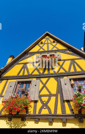 Turckheim (Türkheim) : maisons à colombages en Alsace (Elssass), Haut-Rhin (Oberelssass), France Banque D'Images