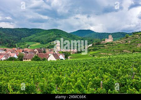 Kaysersberg : ancien hôtel de ville, vignoble, Château de Kaysersberg en Alsace (Elssass), Haut-Rhin (Oberelsss), France Banque D'Images