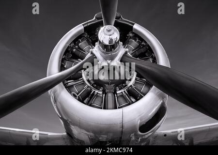 hélice d'un avion historique Banque D'Images