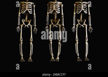 Des squelettes sans tête sont suspendus sur un fond noir. Halloween concept, horreur, gothique. Carte postale. Copier l'espace Banque D'Images