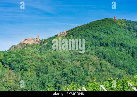 Ribeauville (Rappoltsweiler, Rappschwihr) : ruines de 3 châteaux, Saint-Ulrich, Girsberg et Haut-Ribeaupierre, vignoble d'Alsace (Elsss), Haut-Rhin (O Banque D'Images