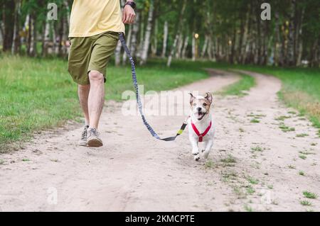 Homme jogging avec un chien à la taille laisse le long de la route de terre de campagne Banque D'Images