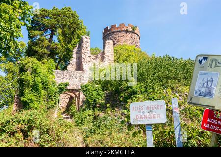 Ribeauville (Rappoltsweiler, Rappschwihr) : Château du Haut-Ribeaupierre en Alsace (Elssass), Haut-Rhin (Oberelsss), France Banque D'Images