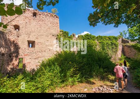 Ribeauville (Rappoltsweiler, Rappschwihr) : Château du Haut-Ribeaupierre en Alsace (Elssass), Haut-Rhin (Oberelsss), France Banque D'Images